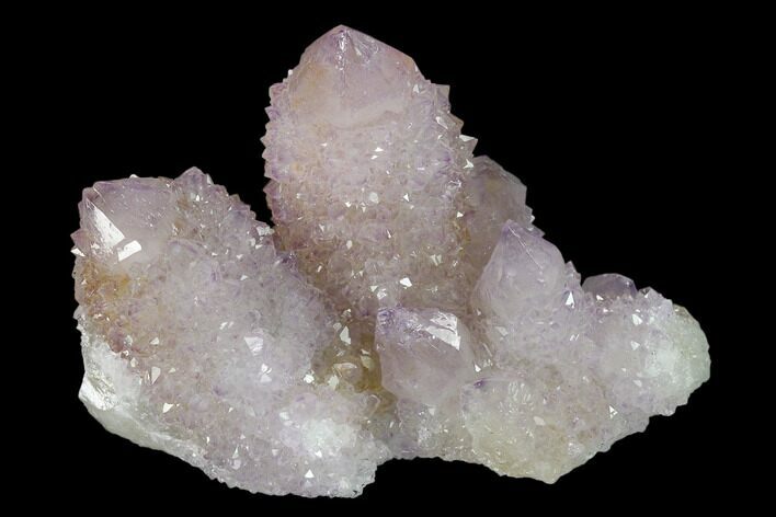 Cactus Quartz (Amethyst) Crystal Cluster - South Africa #137781
